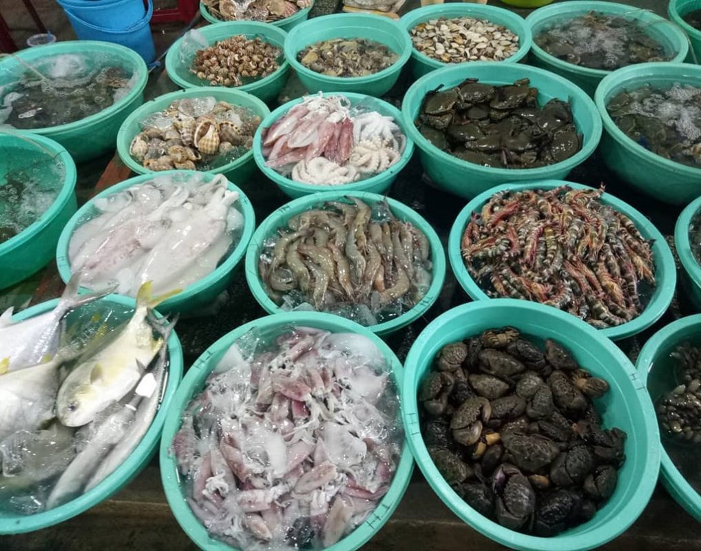 Hải sản đa dạng tại Biển Lộc An Vũng Tàu