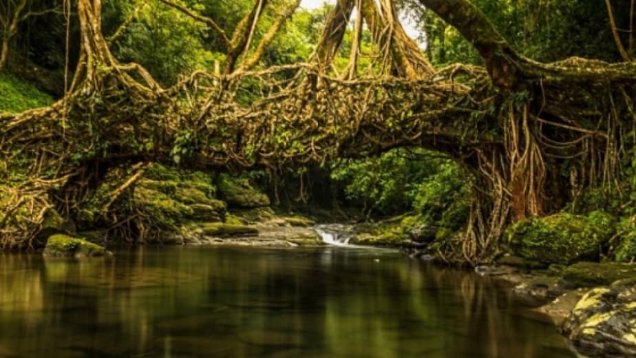 Rừng quốc gia Bình Châu Phước Bửu - Đẹp như cổ tích