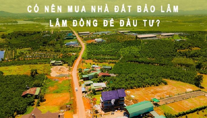 Có nên mua đất Bảo Lâm - Lâm Đồng