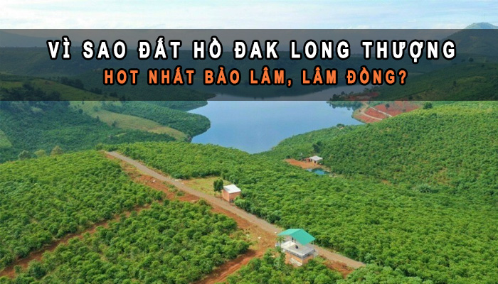 Novaland đầu tư dự án tại Hồ Đắk Long Thượng - Bảo Lâm