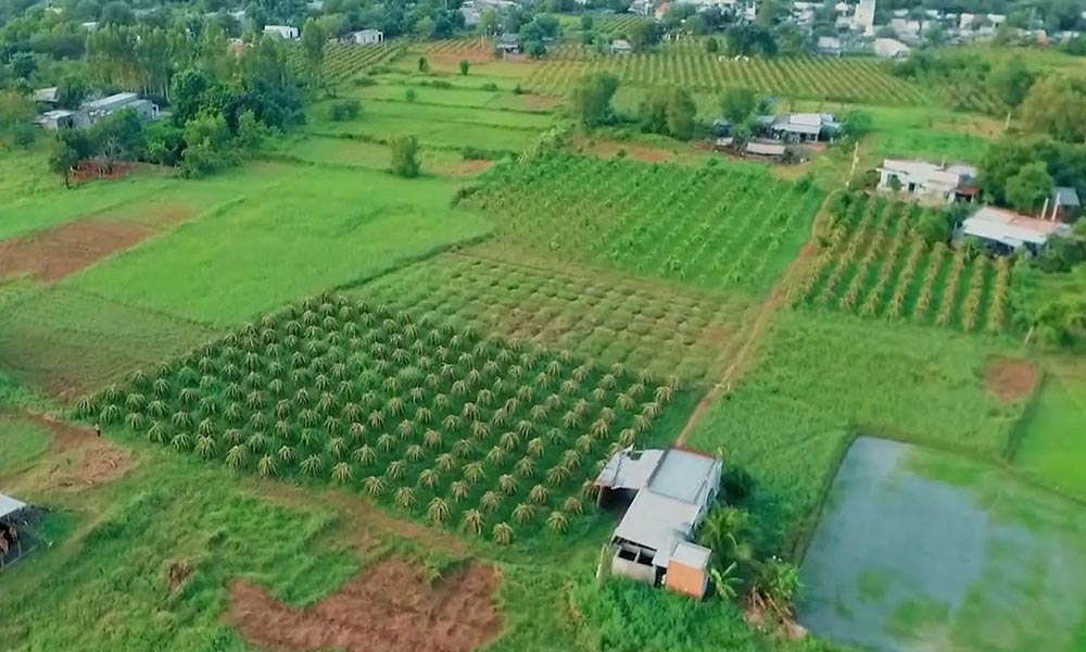 Bán đất nông nghiệp Bảo Lộc có nhiều ở các khu vực ven
