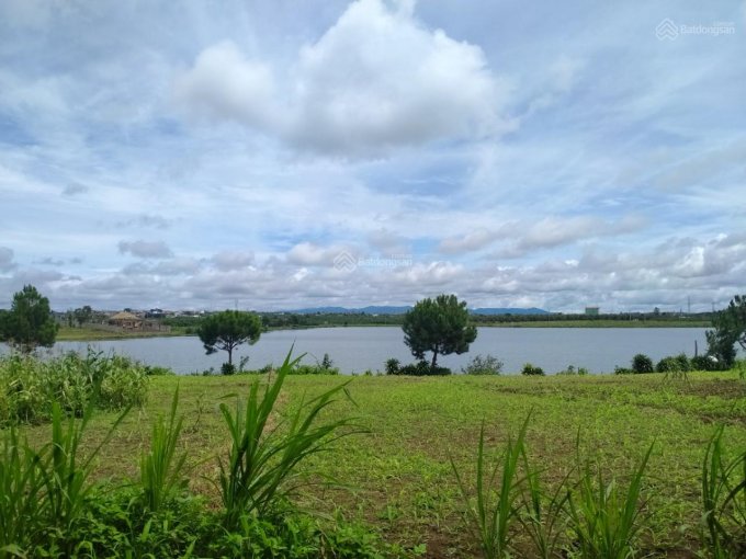 Bán đất nông nghiệp tại xã Đại Lào Bảo Lộc