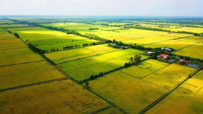 Đất nông nghiệp Bảo Lộc