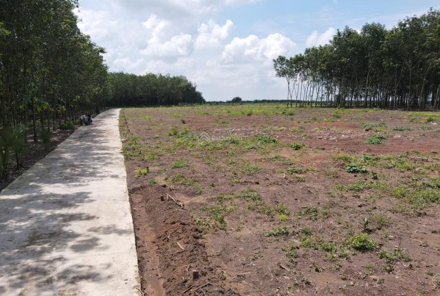 Mua đất rẫy Bình Phước tại huyện Lộc Ninh