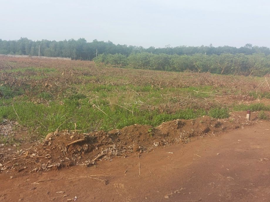 Bán đất rẫy Đồng Phú tại xã Thuận Phú