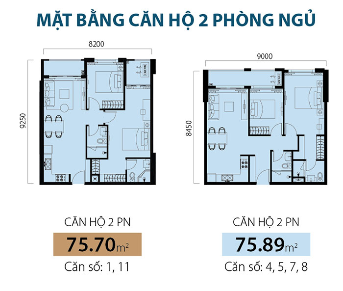 Mặt bằng căn hộ 2PN - chung cư Newton Trương Quốc Dung