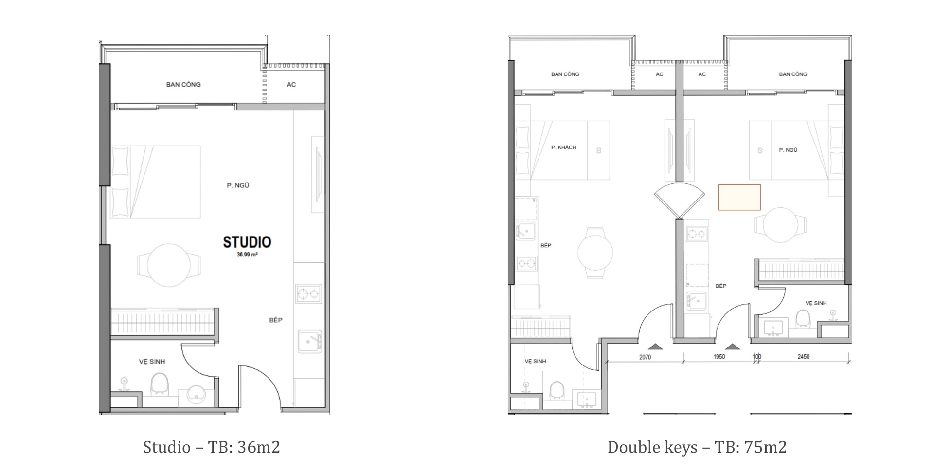 Thiết kế căn hộ Studio & Double Keys