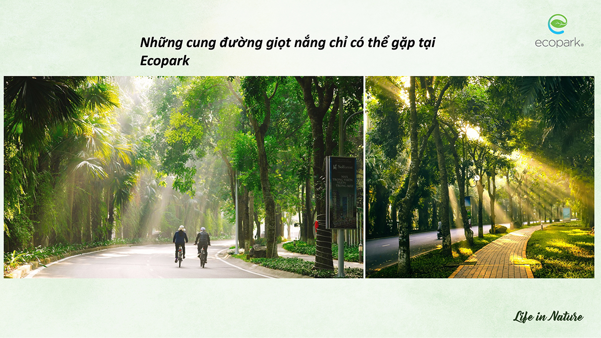 Cung đường xanh tại khu đô thị Ecopark Hưng Yên